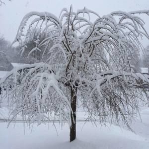 Meet your Posher, Lois